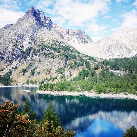 فارزو B&B Chalet Il Picchio المظهر الخارجي الصورة