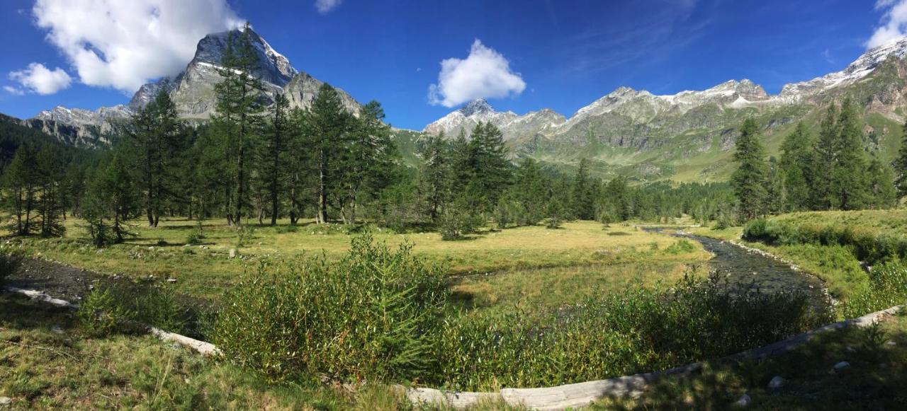 فارزو B&B Chalet Il Picchio المظهر الخارجي الصورة