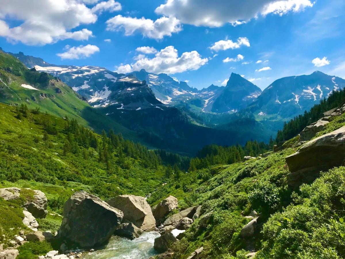 فارزو B&B Chalet Il Picchio المظهر الخارجي الصورة
