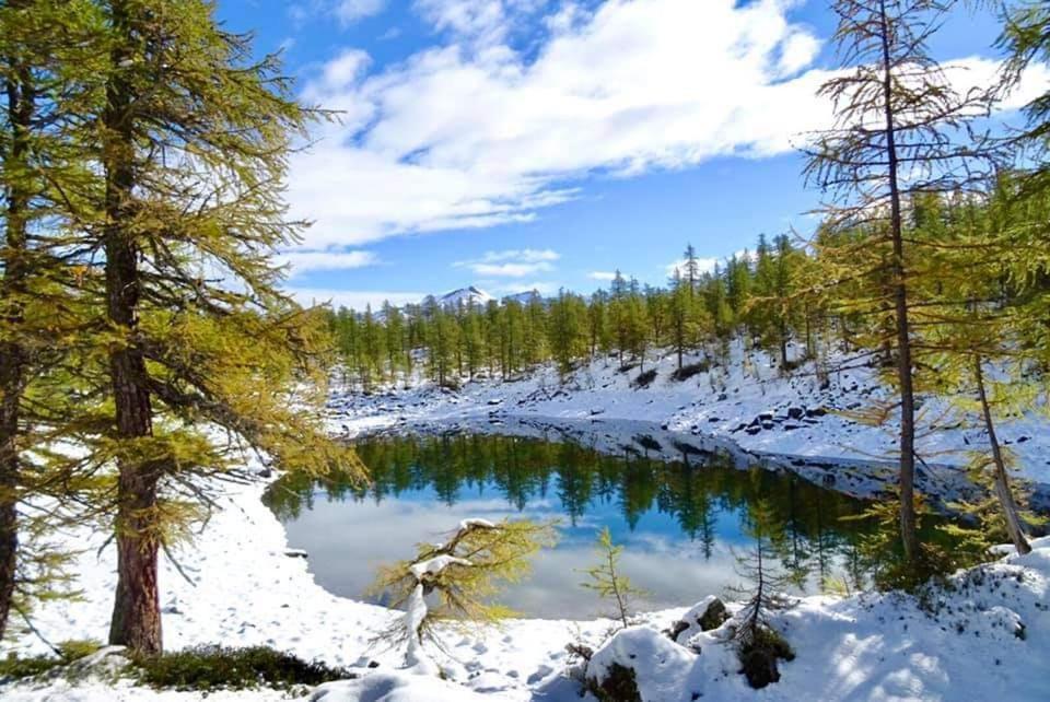 فارزو B&B Chalet Il Picchio المظهر الخارجي الصورة