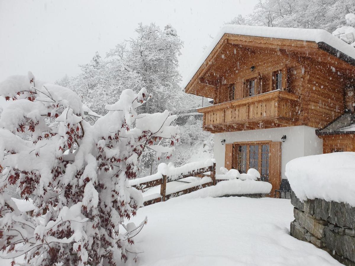 فارزو B&B Chalet Il Picchio المظهر الخارجي الصورة